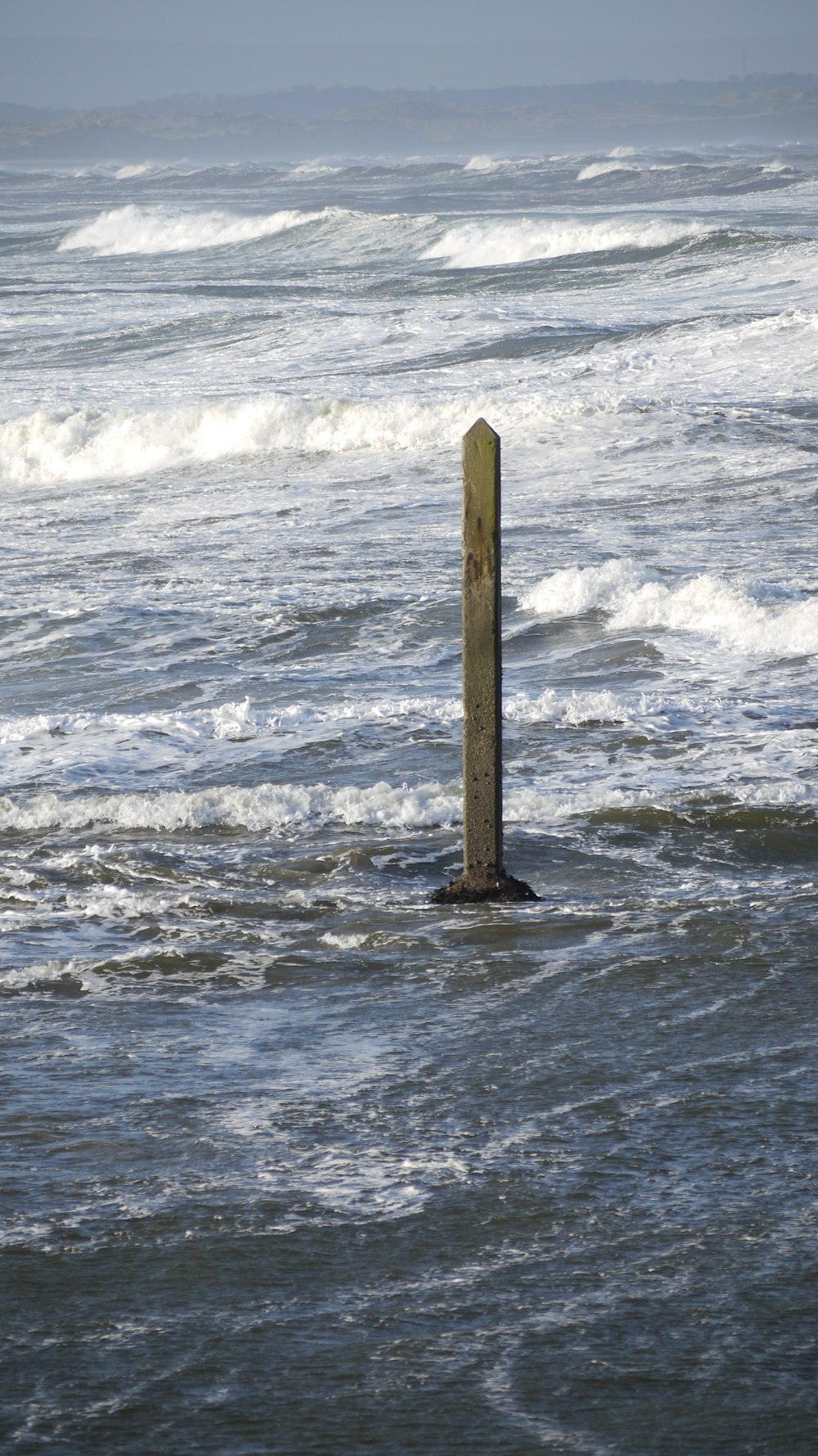 un palo di legno che spunta dall'oceano