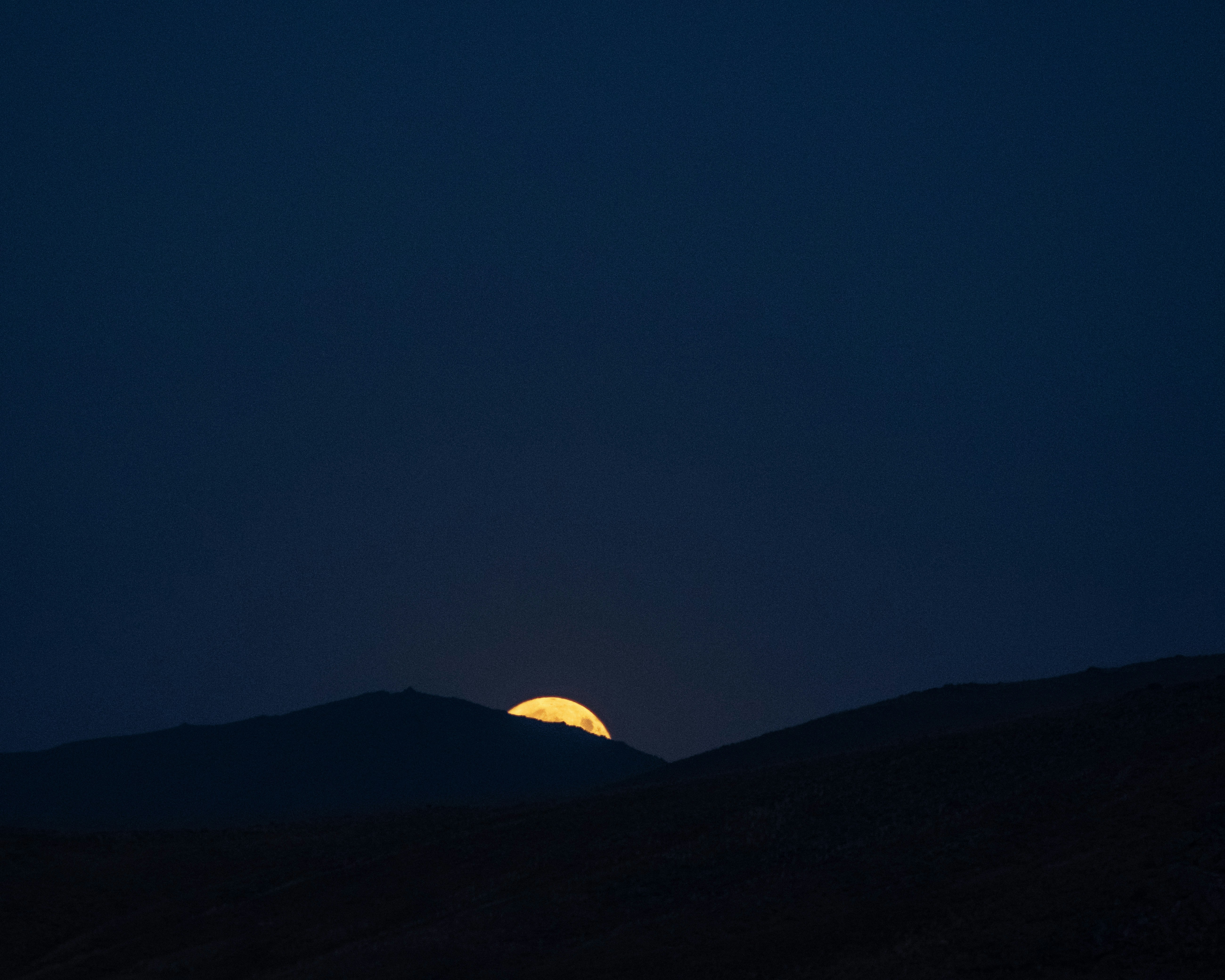 Photo by sajadnori