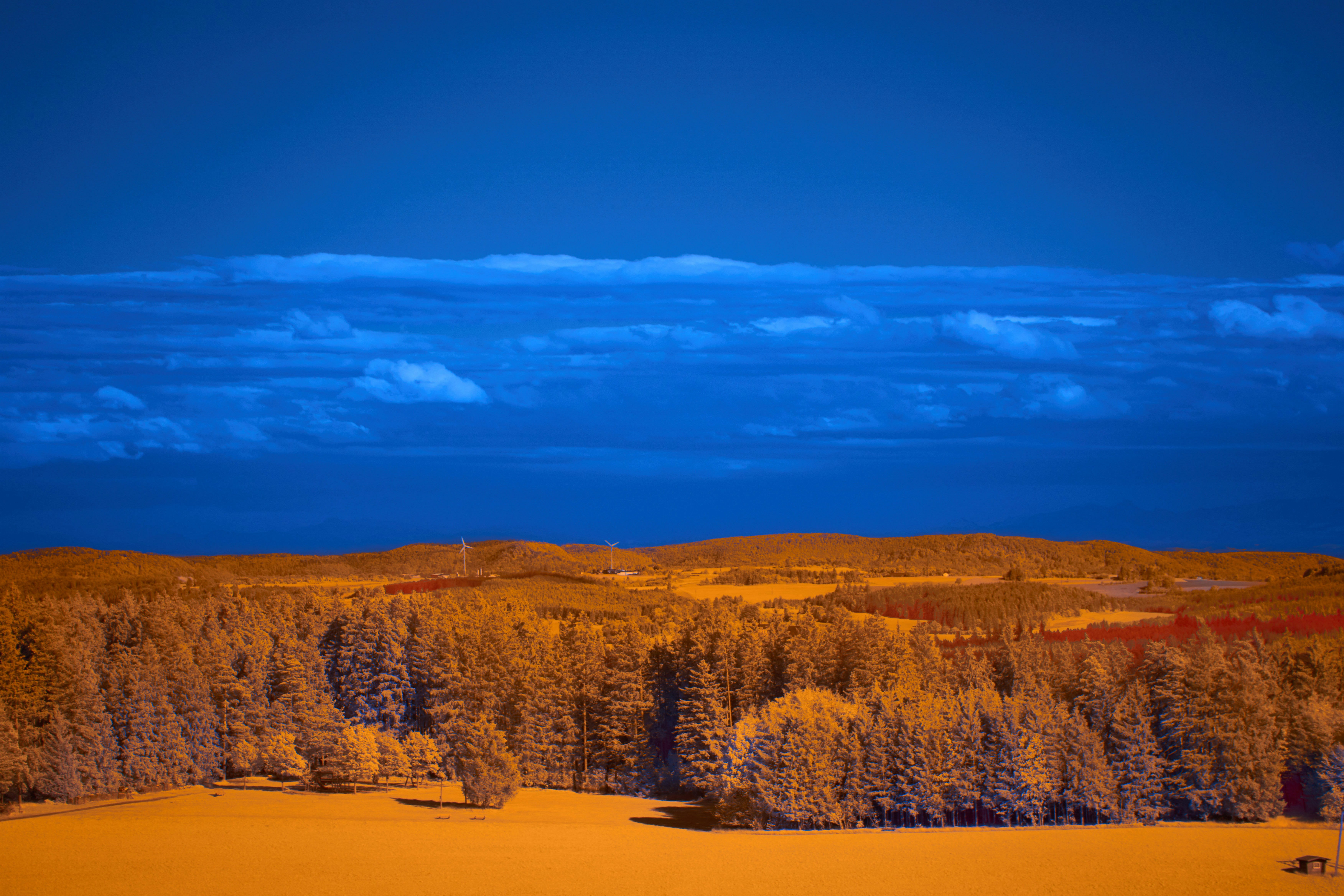 Photo by wolfgang_hasselmann