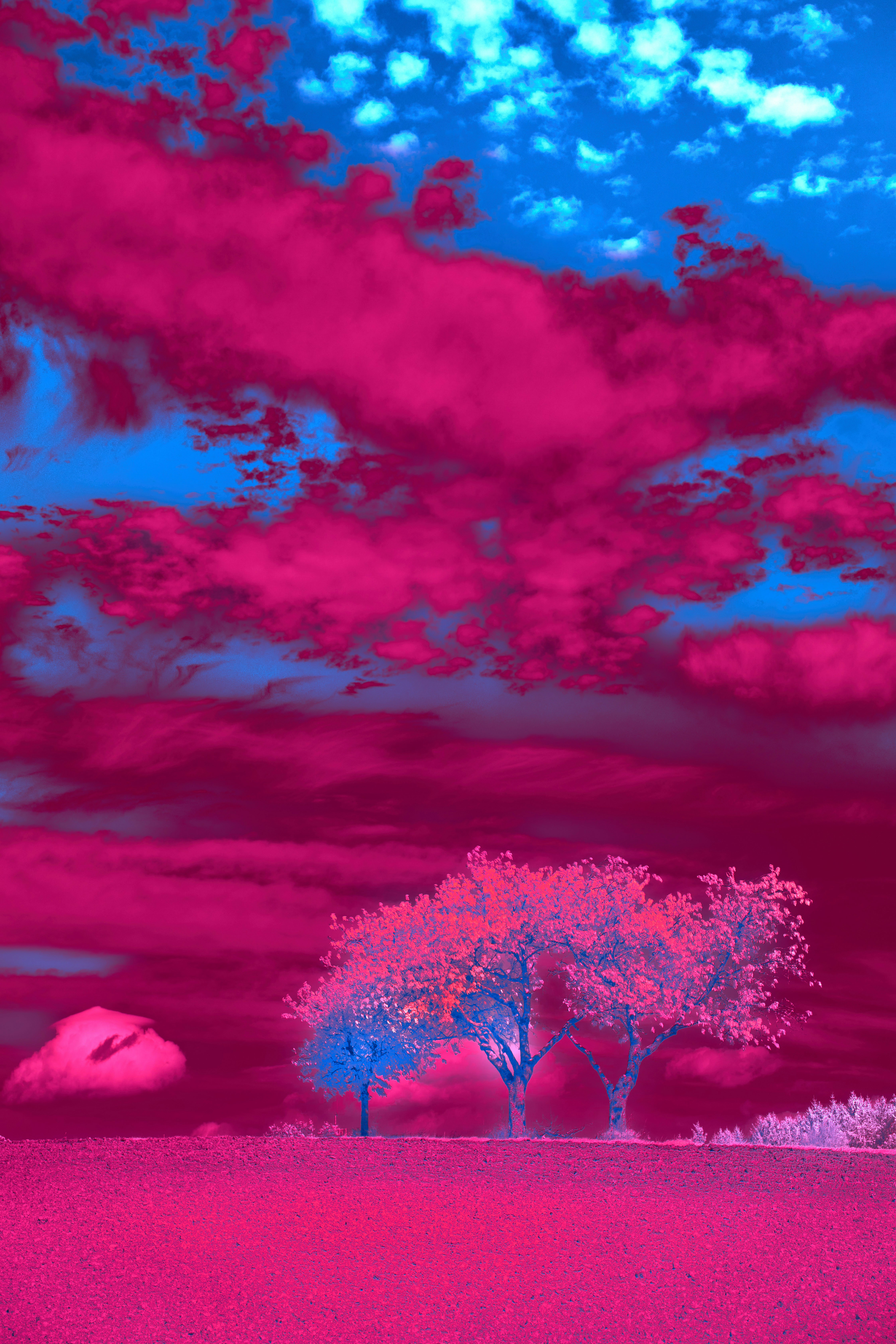 Photo by wolfgang_hasselmann