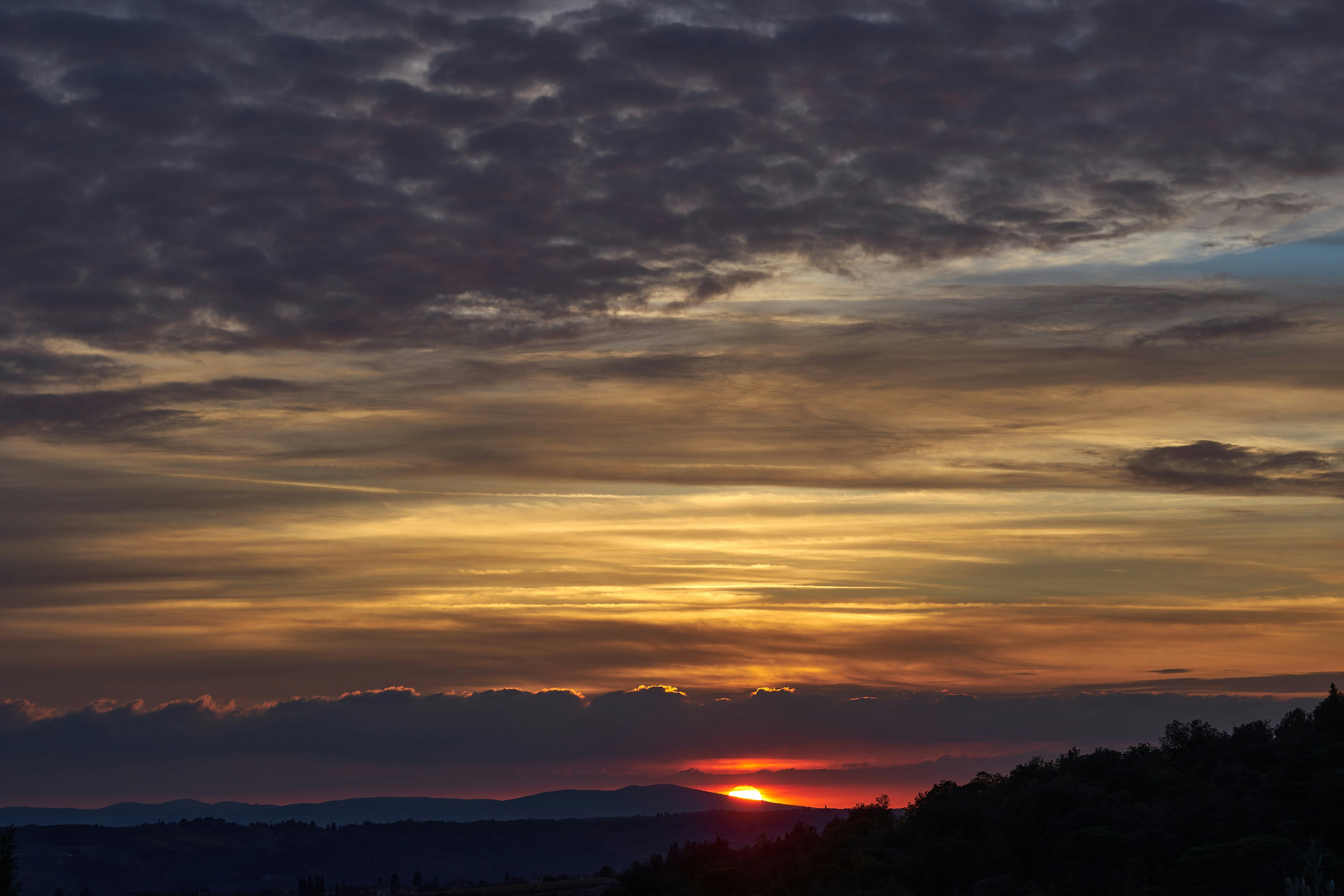 Photo by wolfgang_hasselmann