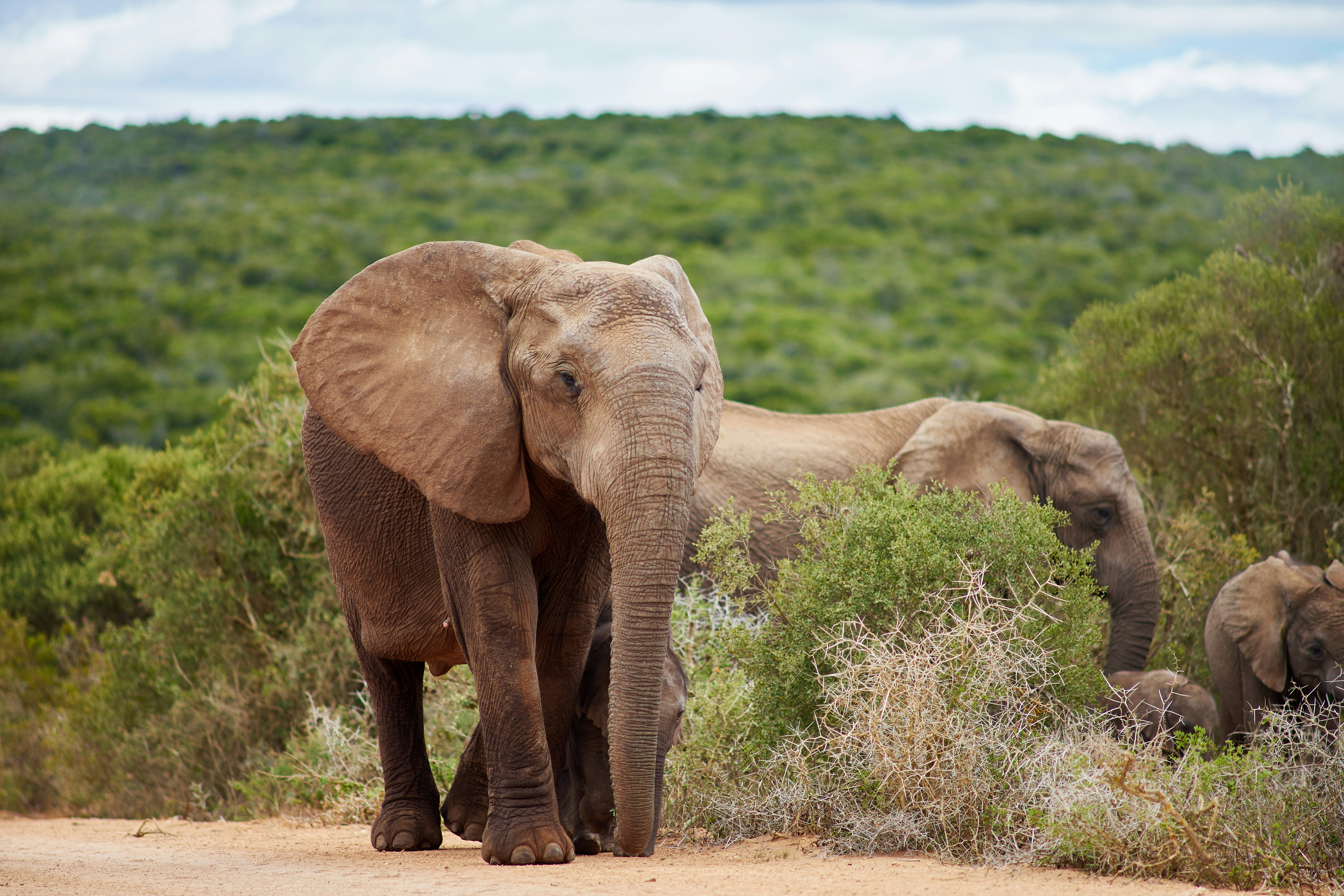 Photo by wolfgang_hasselmann