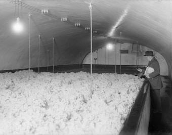 A man in a suit and hat stands in an arched, dimly lit room, observing a large bed of what appears to be fermenting yeast or a similar substance. Overhead lights hang from cords attached to the ceiling, providing illumination to the scene.