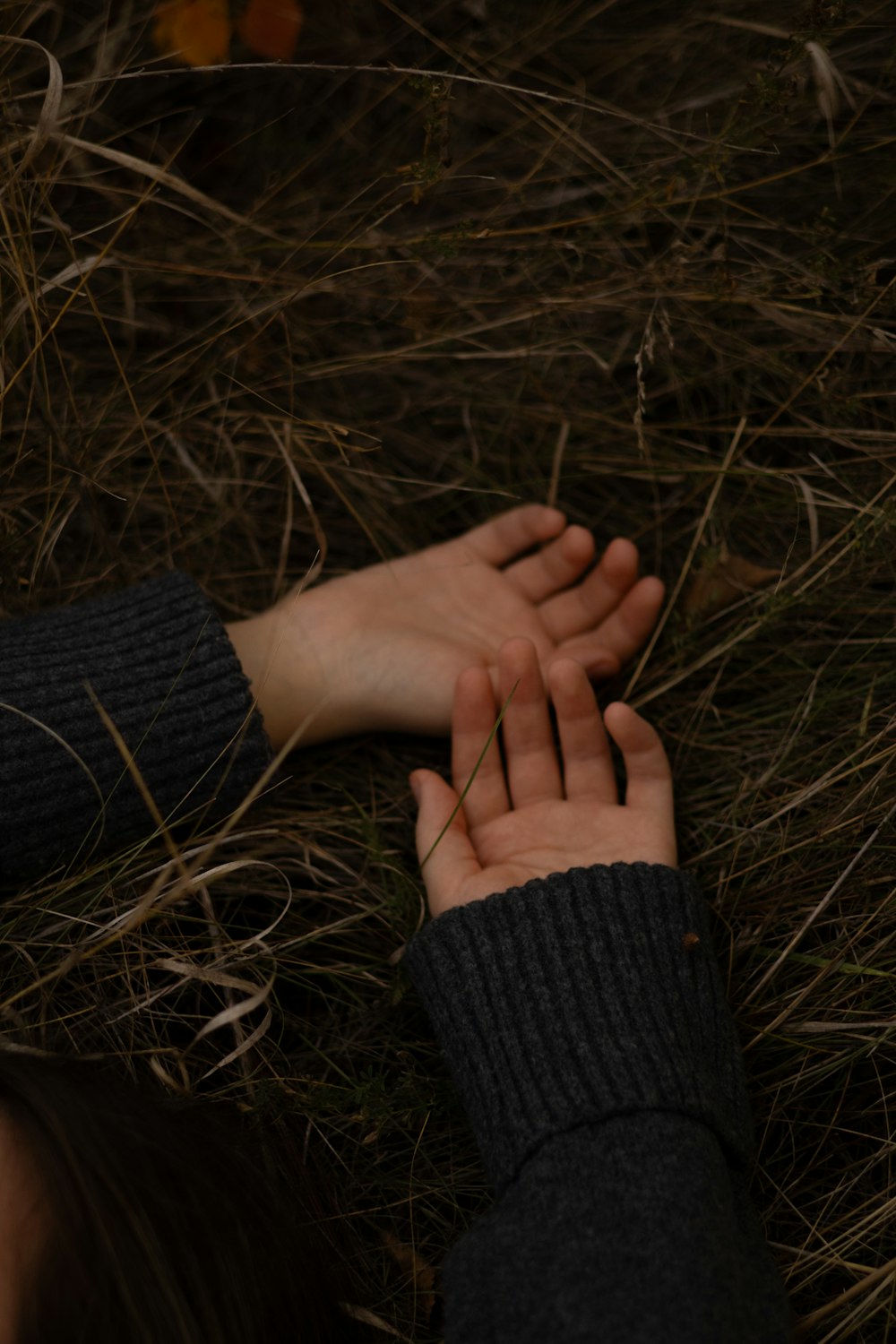 a person holding their hand out in the grass