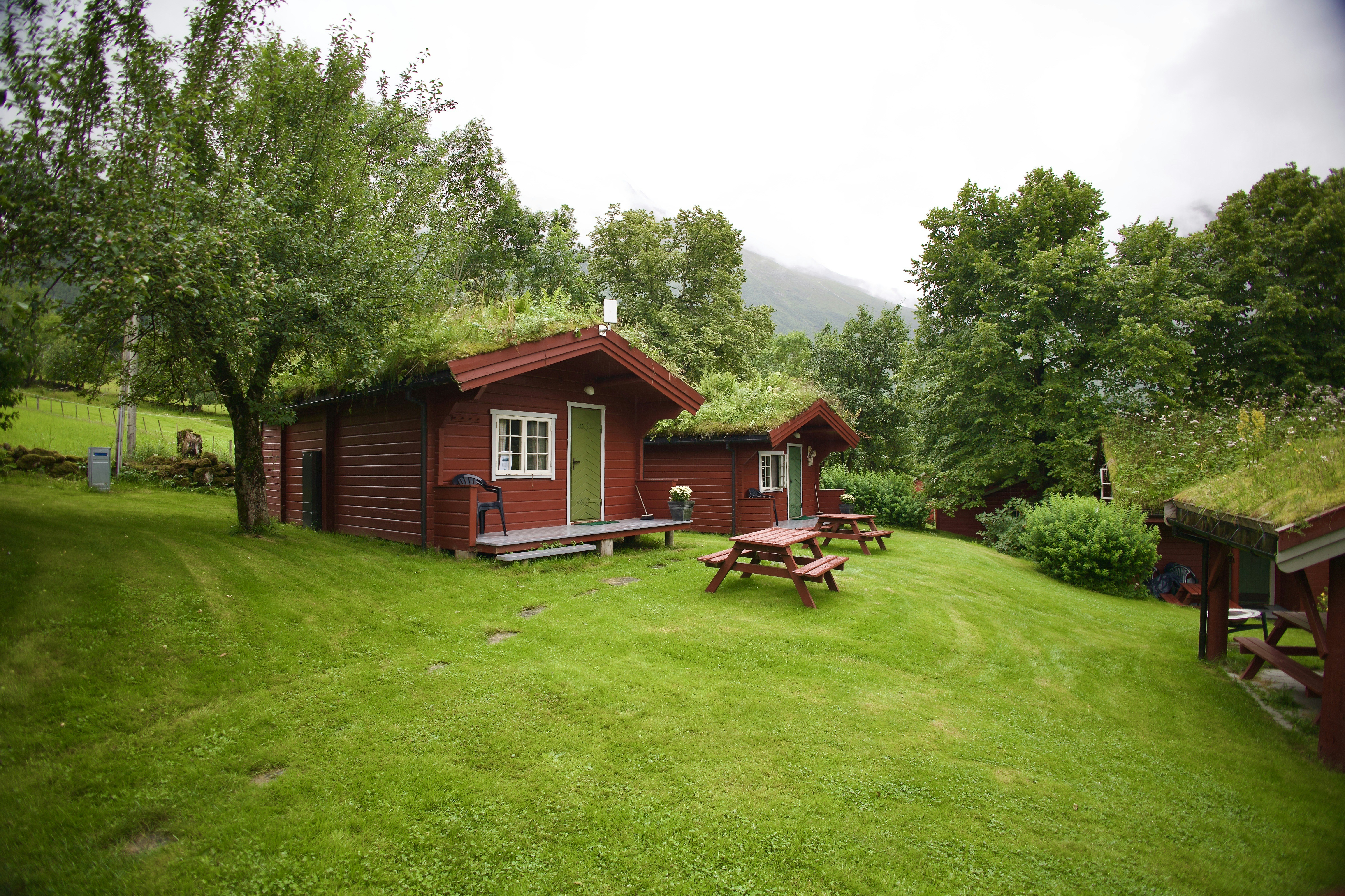 Photo by stockbirken