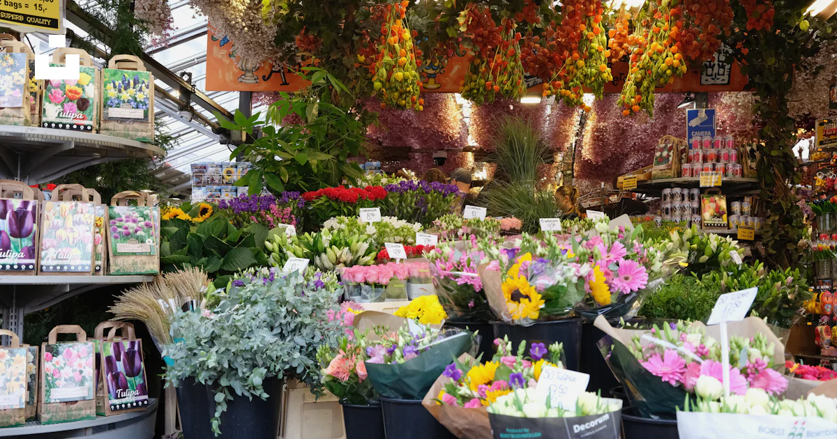 A store filled with lots of different types of flowers photo – Free ...