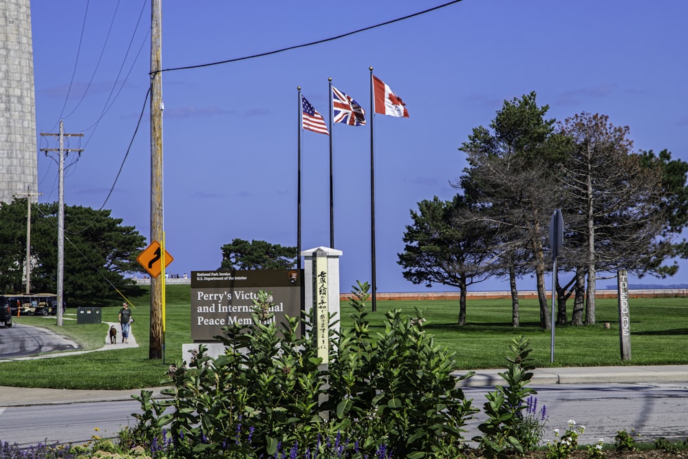 a group of flags flying in the wind next to a road