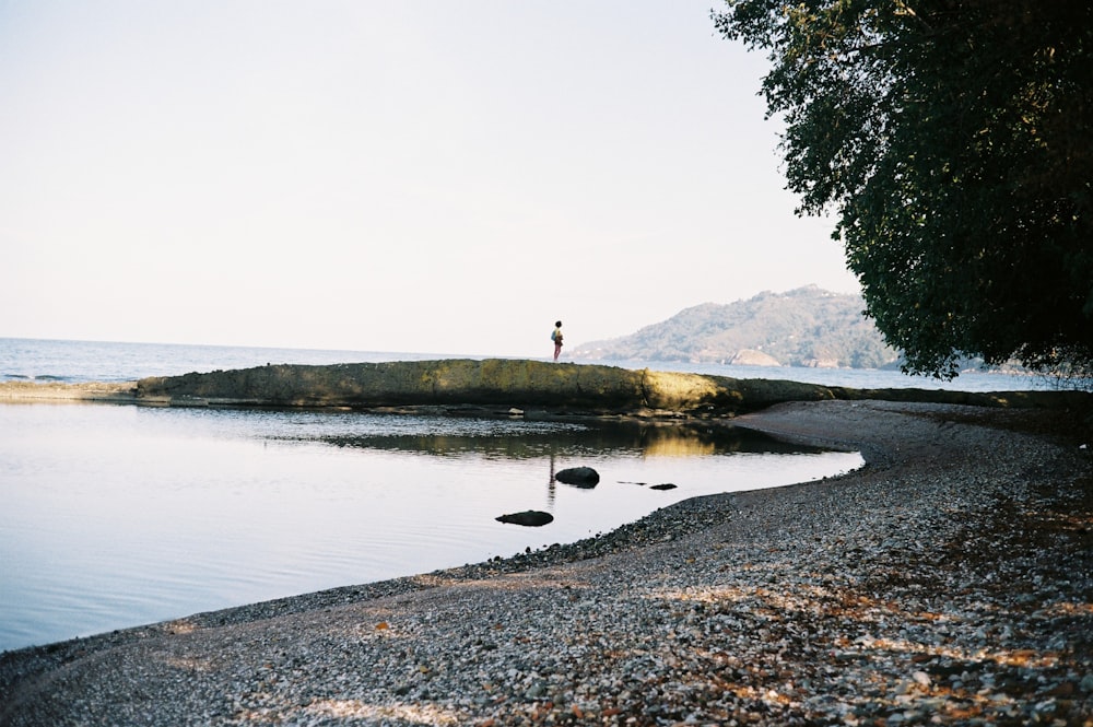 a person standing on a rock near a body of water