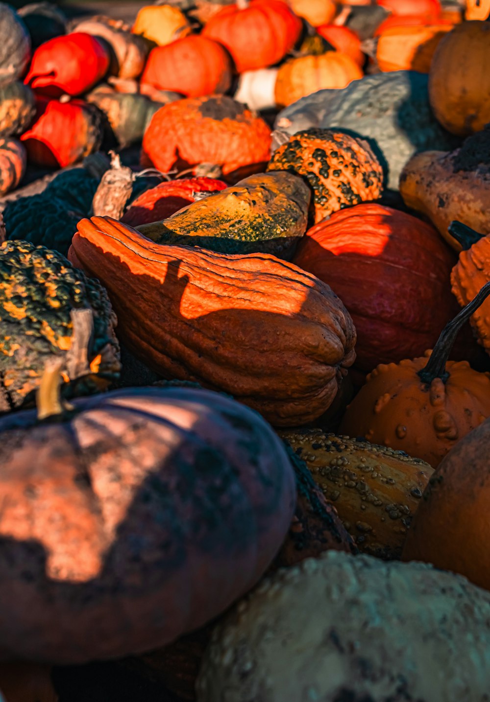 a pile of pumpkins sitting on top of a pile of other pumpkins