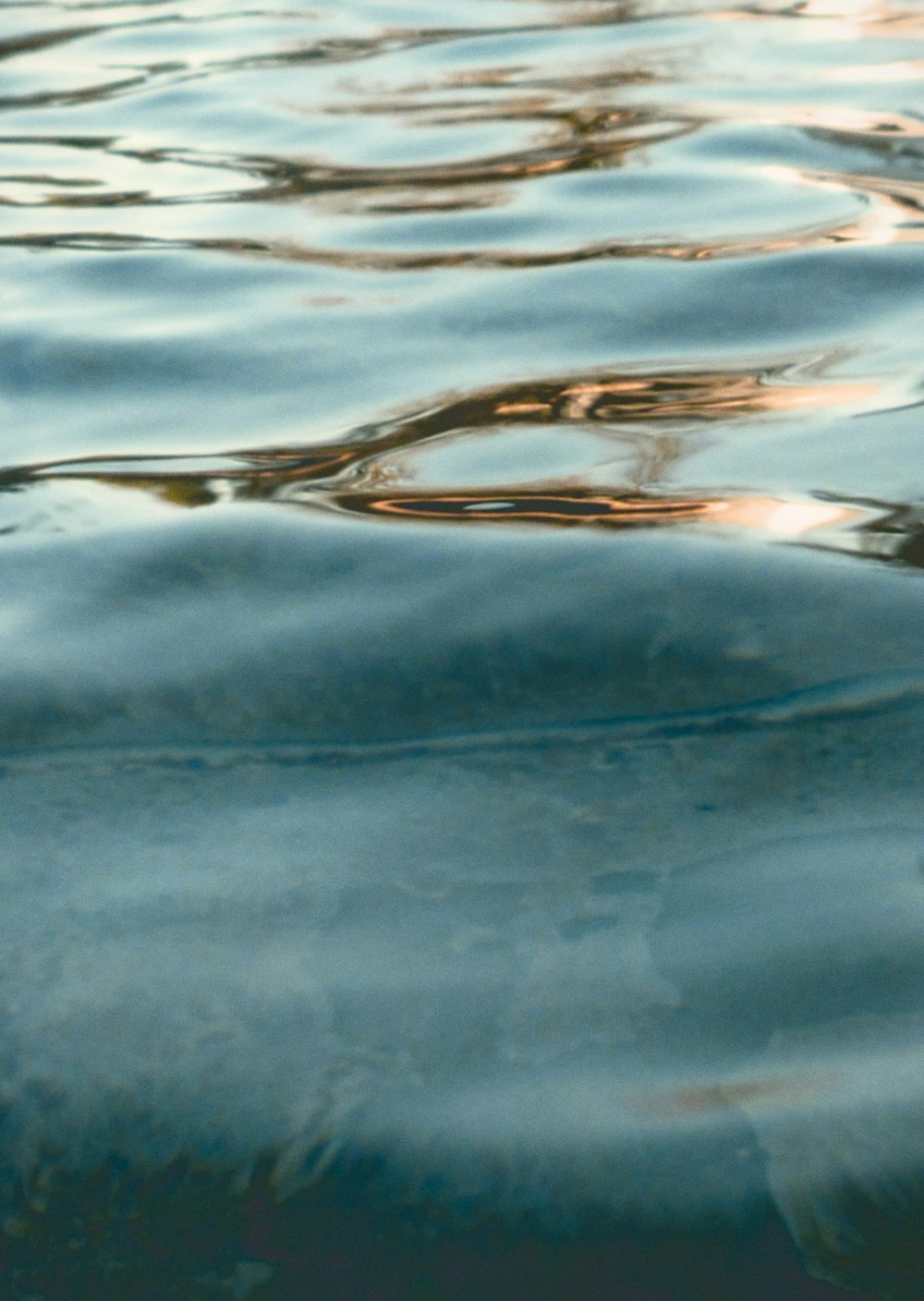 a close up of the surface of a body of water