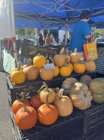 A market stall displays a variety of pumpkins stacked on black crates, with a note indicating pricing. The stall features a blue canopy, and people are visible in the background, including someone carrying an orange bag. The scene is lit by bright daylight, giving a lively and vibrant atmosphere.