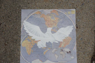 A cracked world map showing fractured borders symbolizing arbitrary territorial divisions.