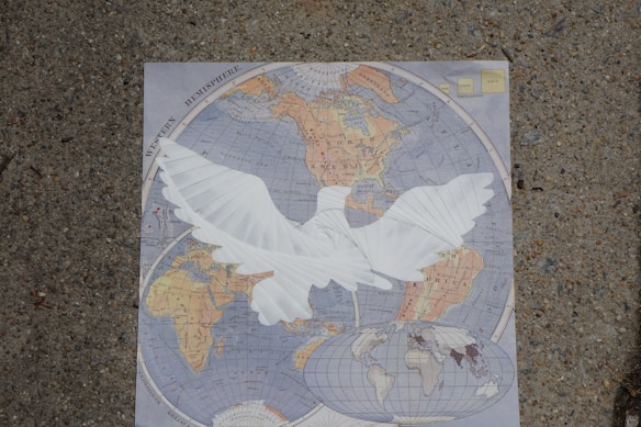 A world map is placed on a textured, gray concrete surface. Overlaid on the map is a large, white paper cutout of a bird with spread wings, predominantly covering the Americas. The map is detailed, showing various continents and hemispheres.
