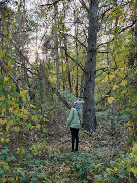 A model wearing a forest green jacket with hand-stitched leaf patterns, standing among tall pine trees.