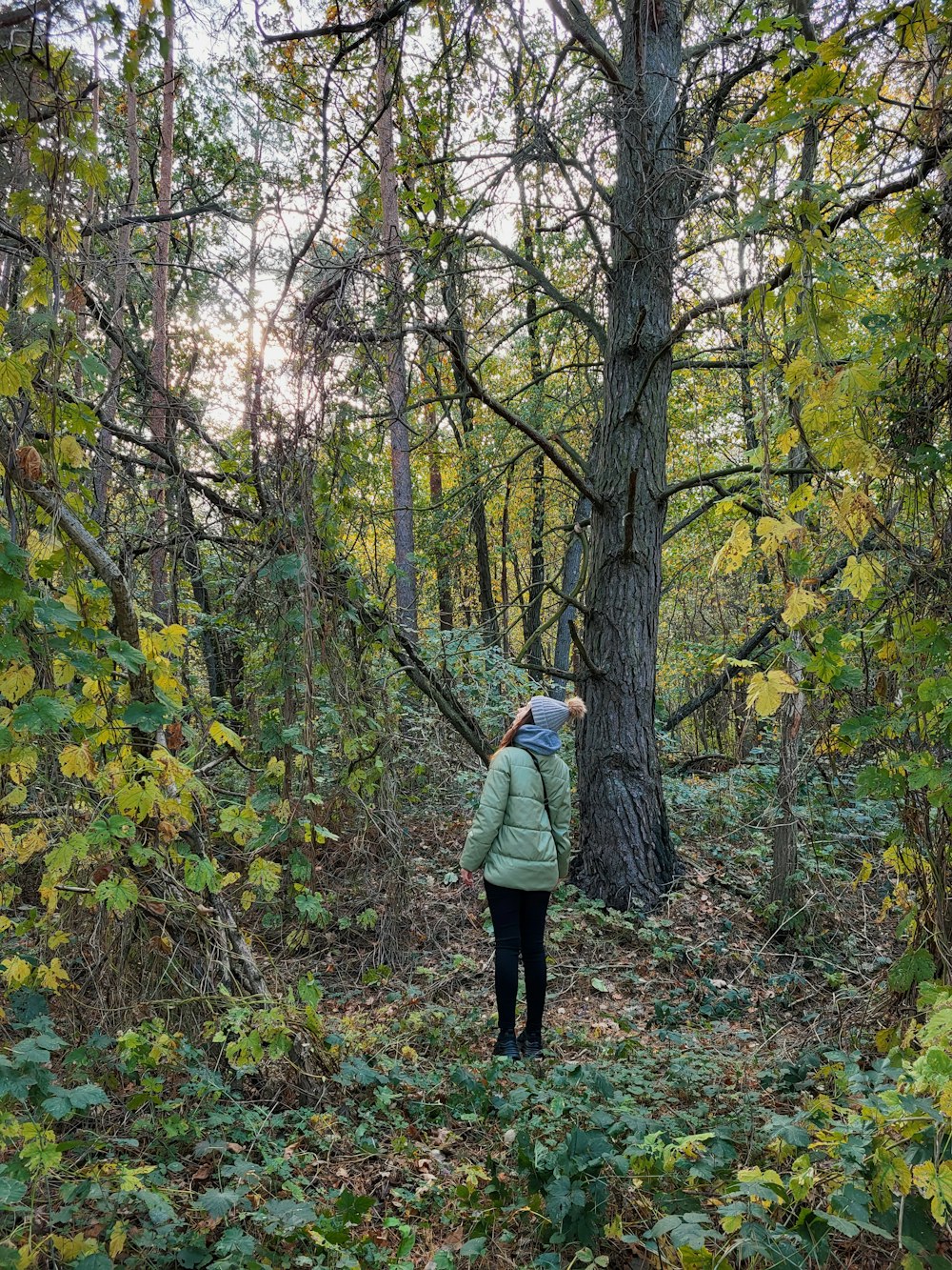 a person standing in the woods looking up at a tree