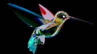 High-gloss resin art featuring a hummingbird silhouette filled with swirling teal, gold, and magenta acrylic paints, outlined by a thin black 3d-printed border.