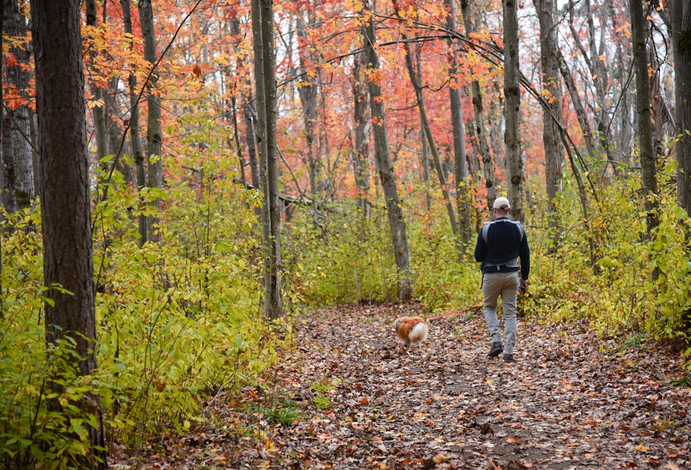 uma pessoa passeando com um cachorro na floresta