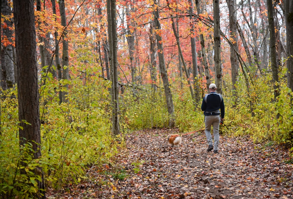 a person walking a dog in the woods