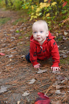 a baby is crawling on the ground in the woods