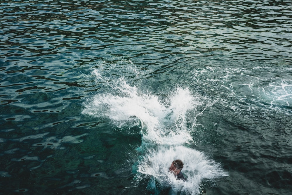 a person is swimming in the water