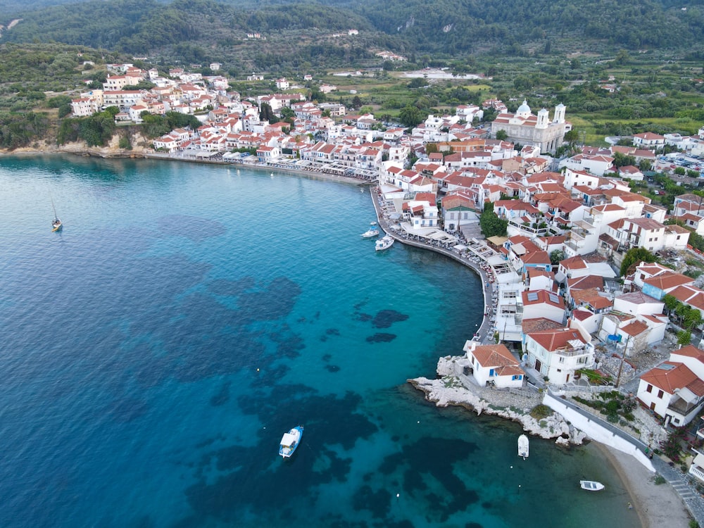 an aerial view of a village on the water