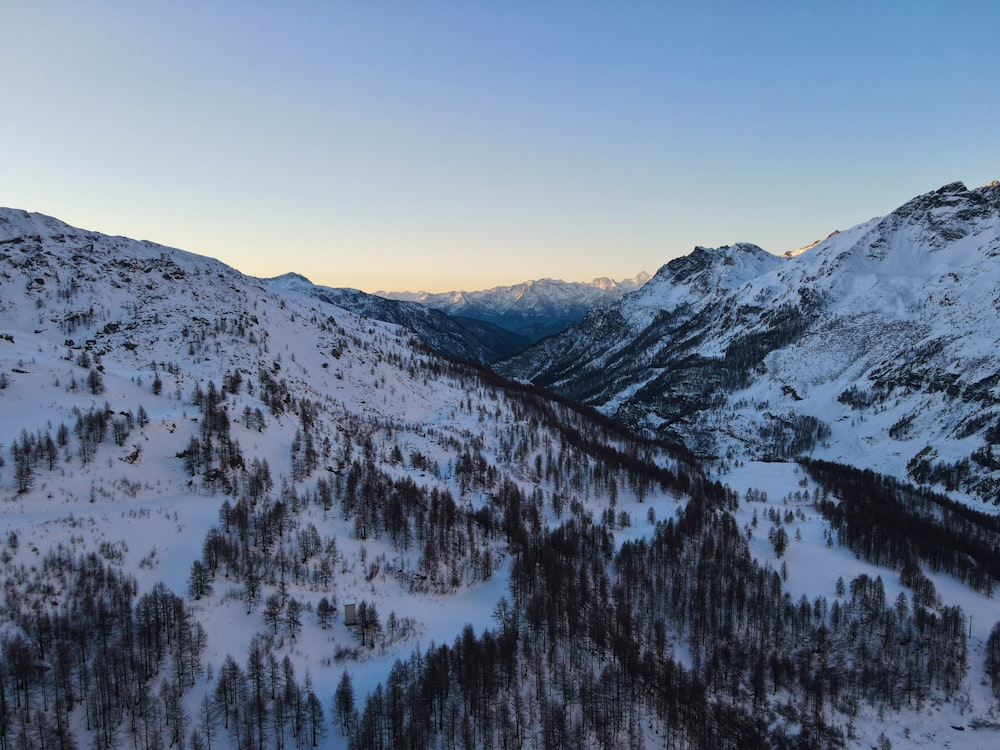 a view of a snowy mountain range with trees in the foreground