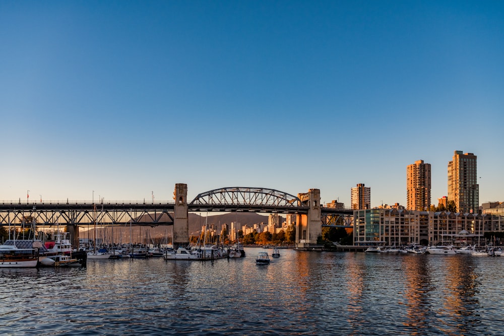 a bridge over a body of water next to a city