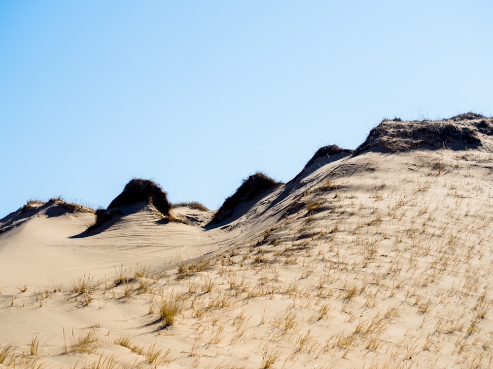 sand dunes with grass growing on top of them