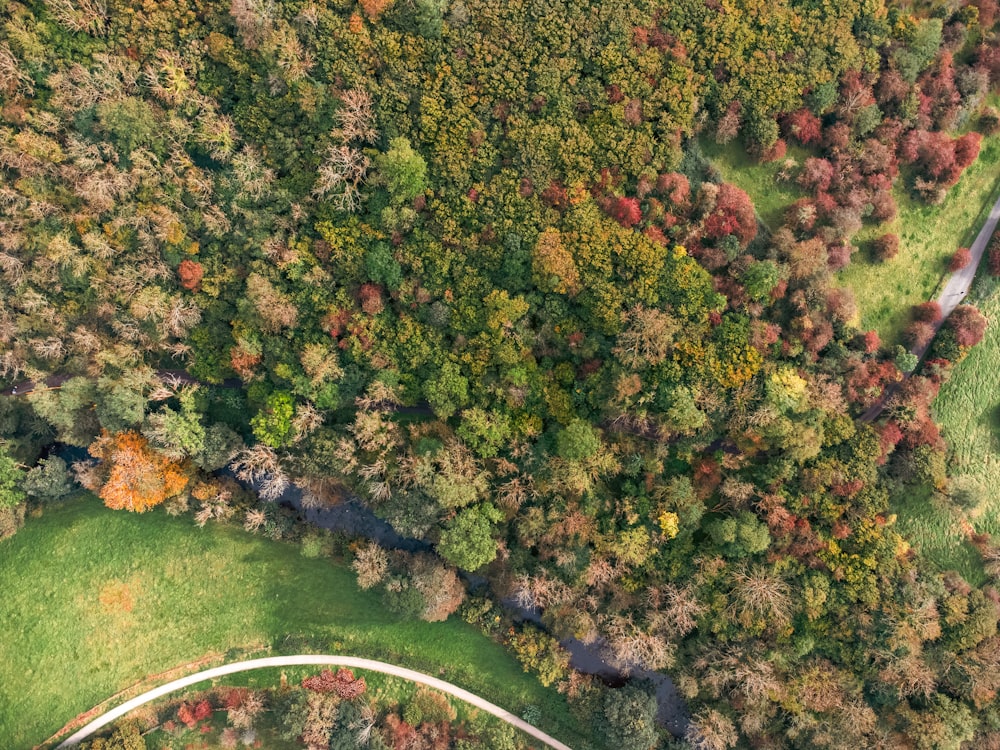 an aerial view of a road in a wooded area