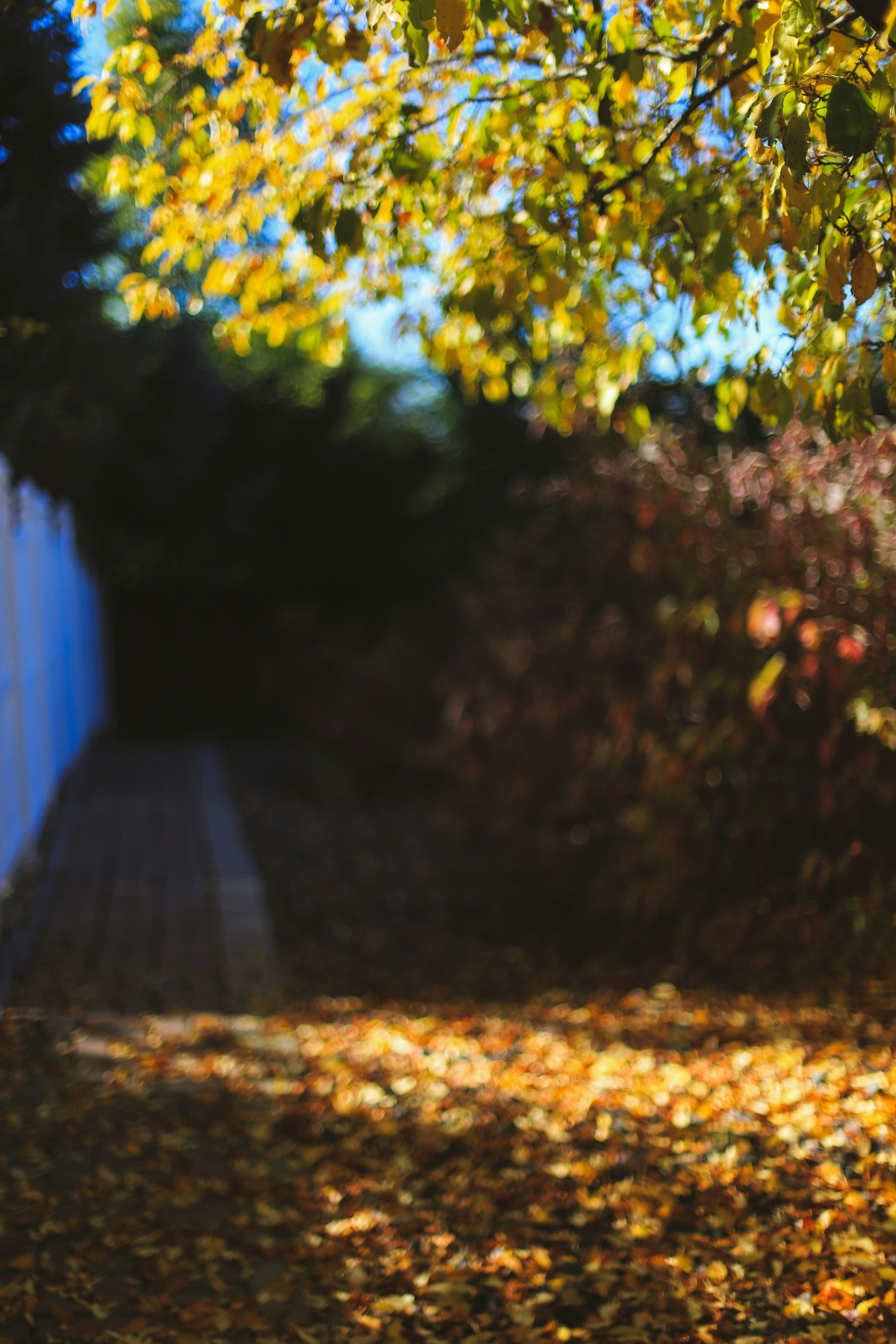 Photo by jessicalfadel