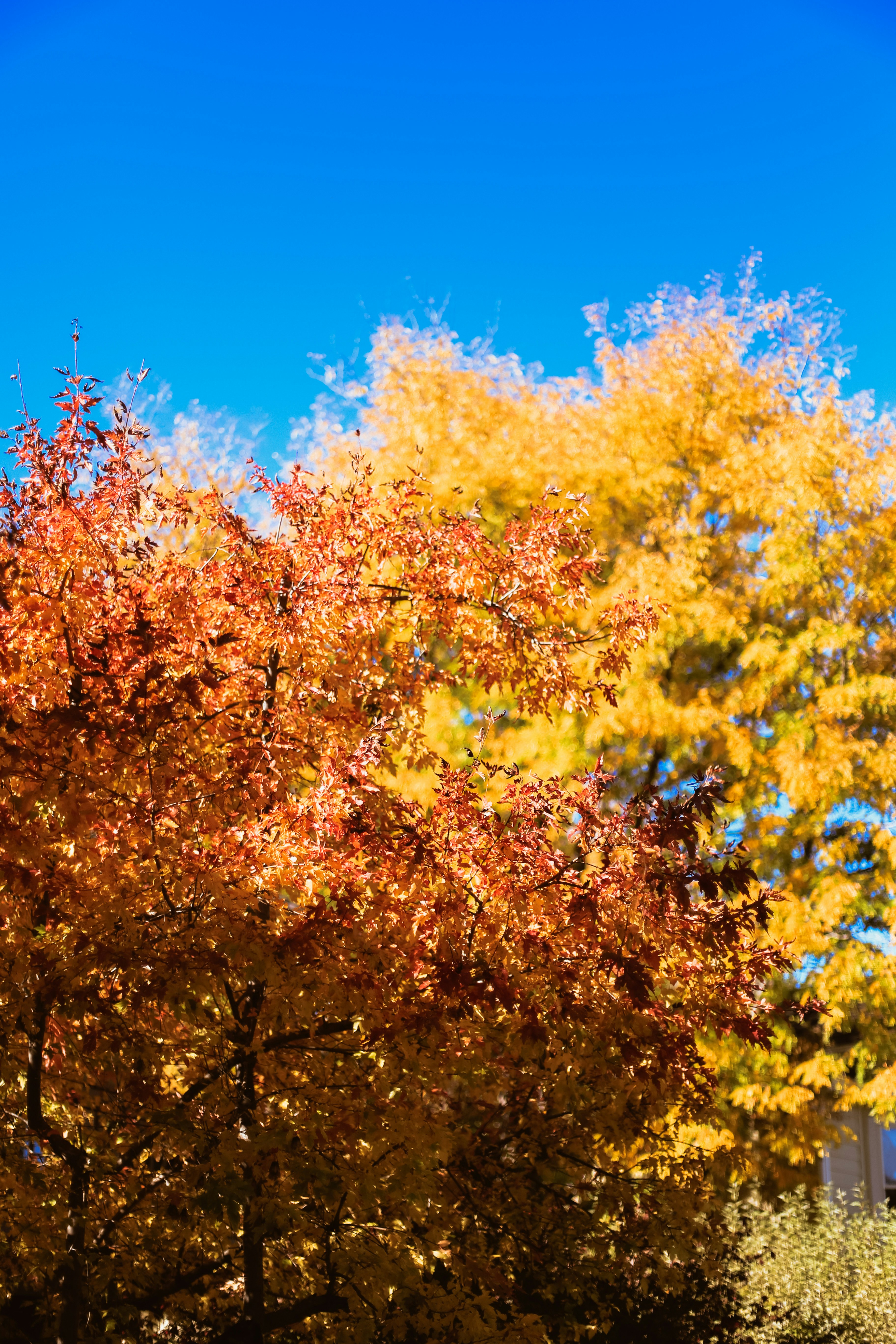 Photo by jessicalfadel