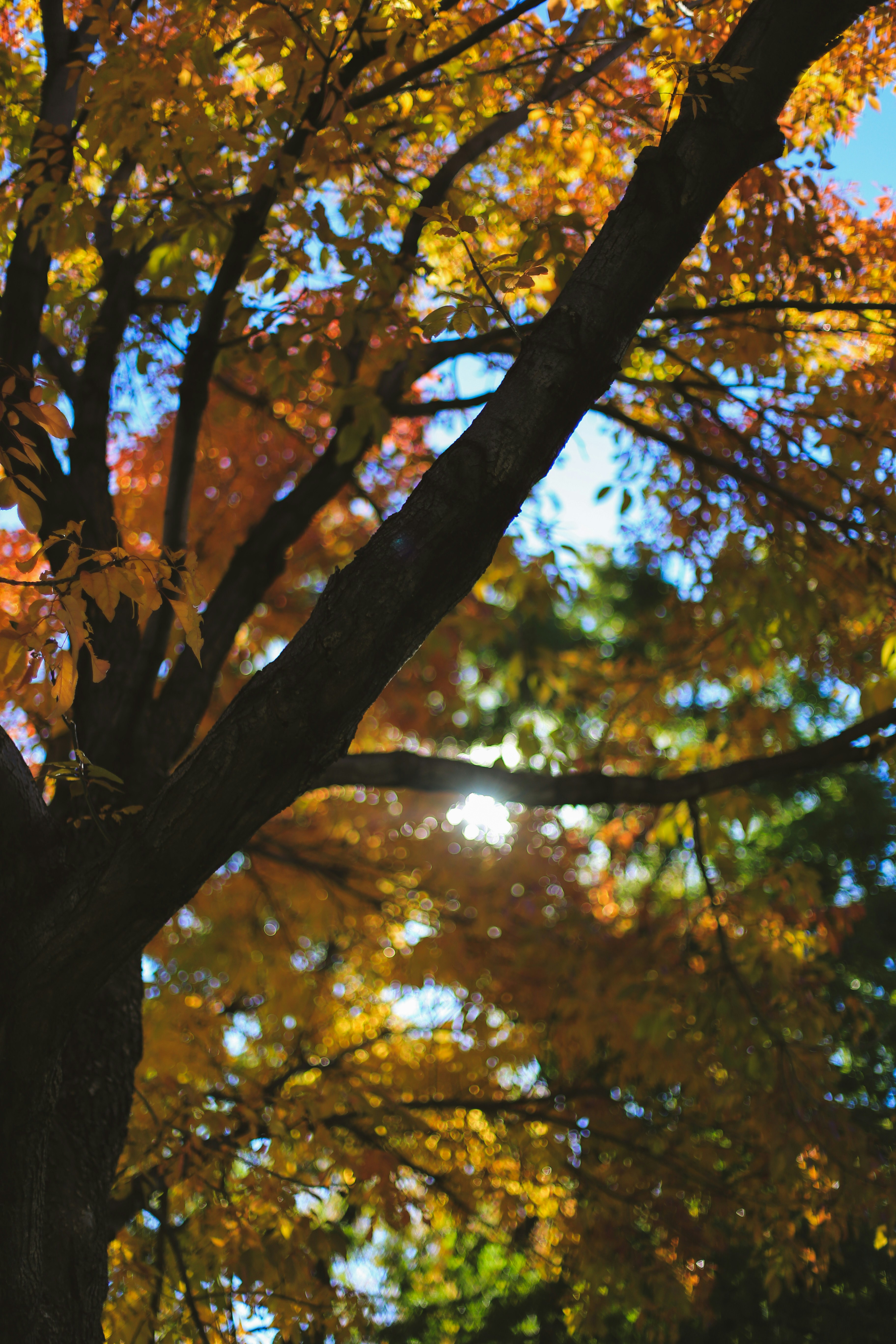 Photo by jessicalfadel