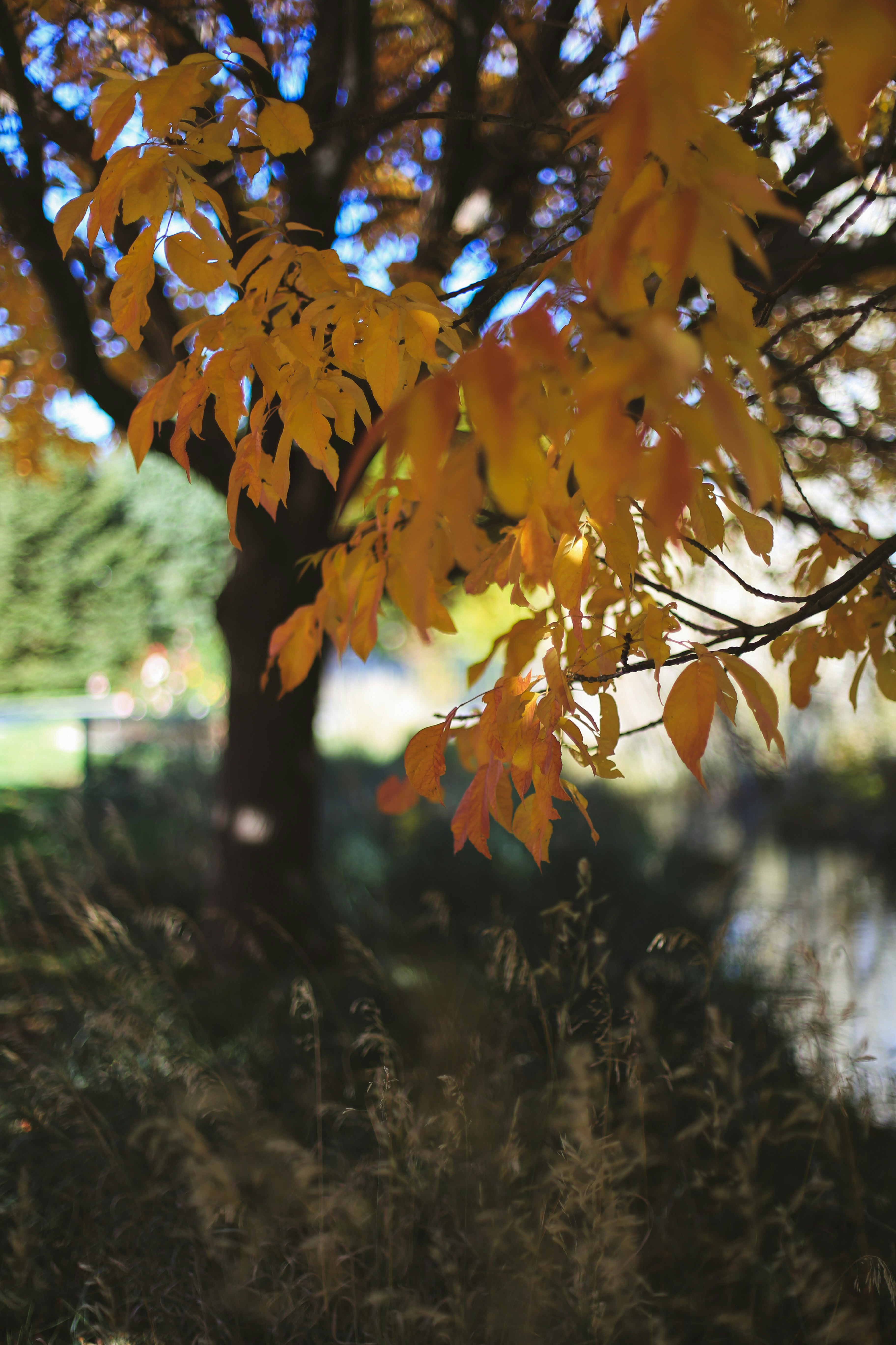 Photo by jessicalfadel