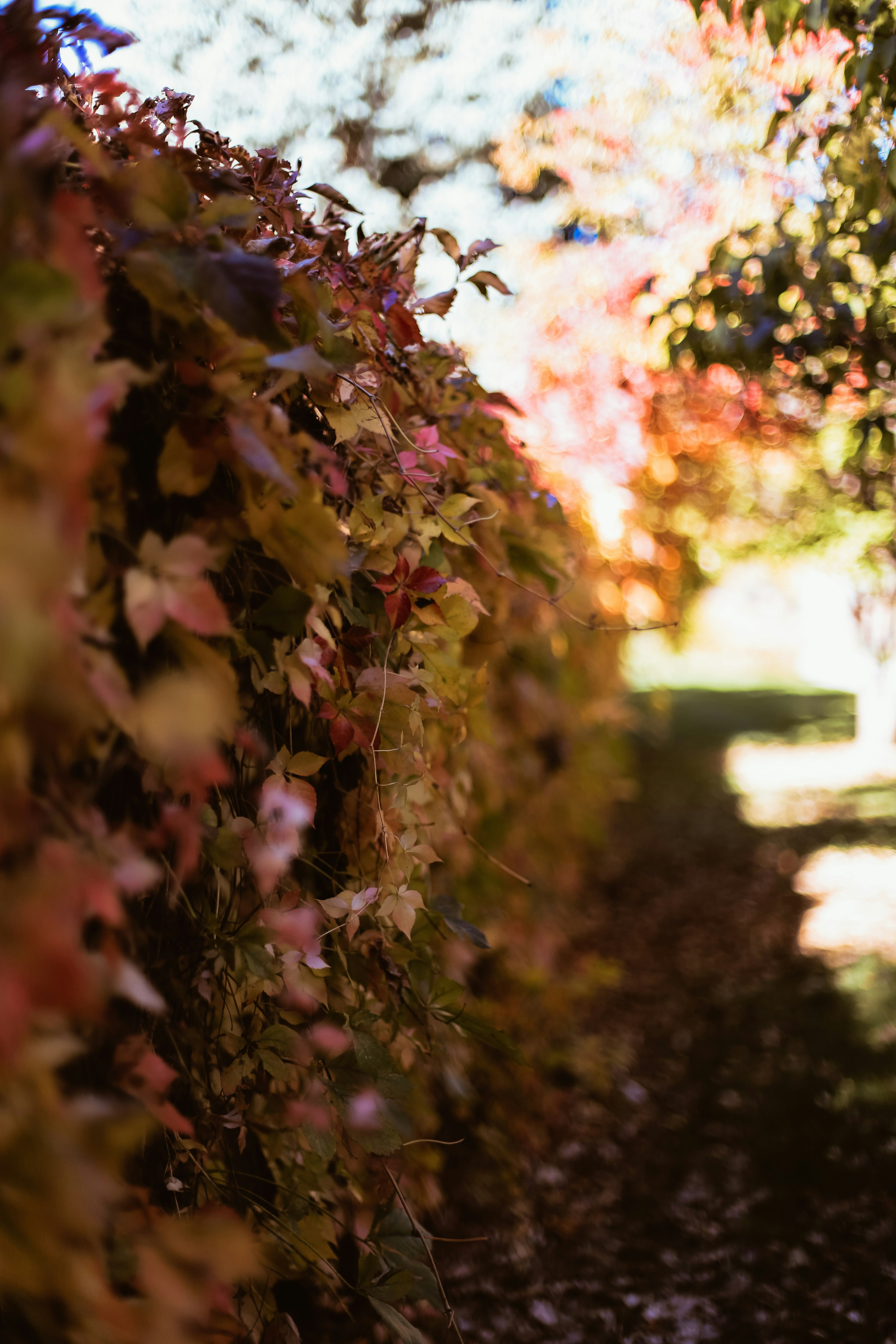 Photo by jessicalfadel