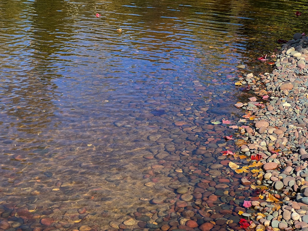 a body of water surrounded by rocks and pebbles,