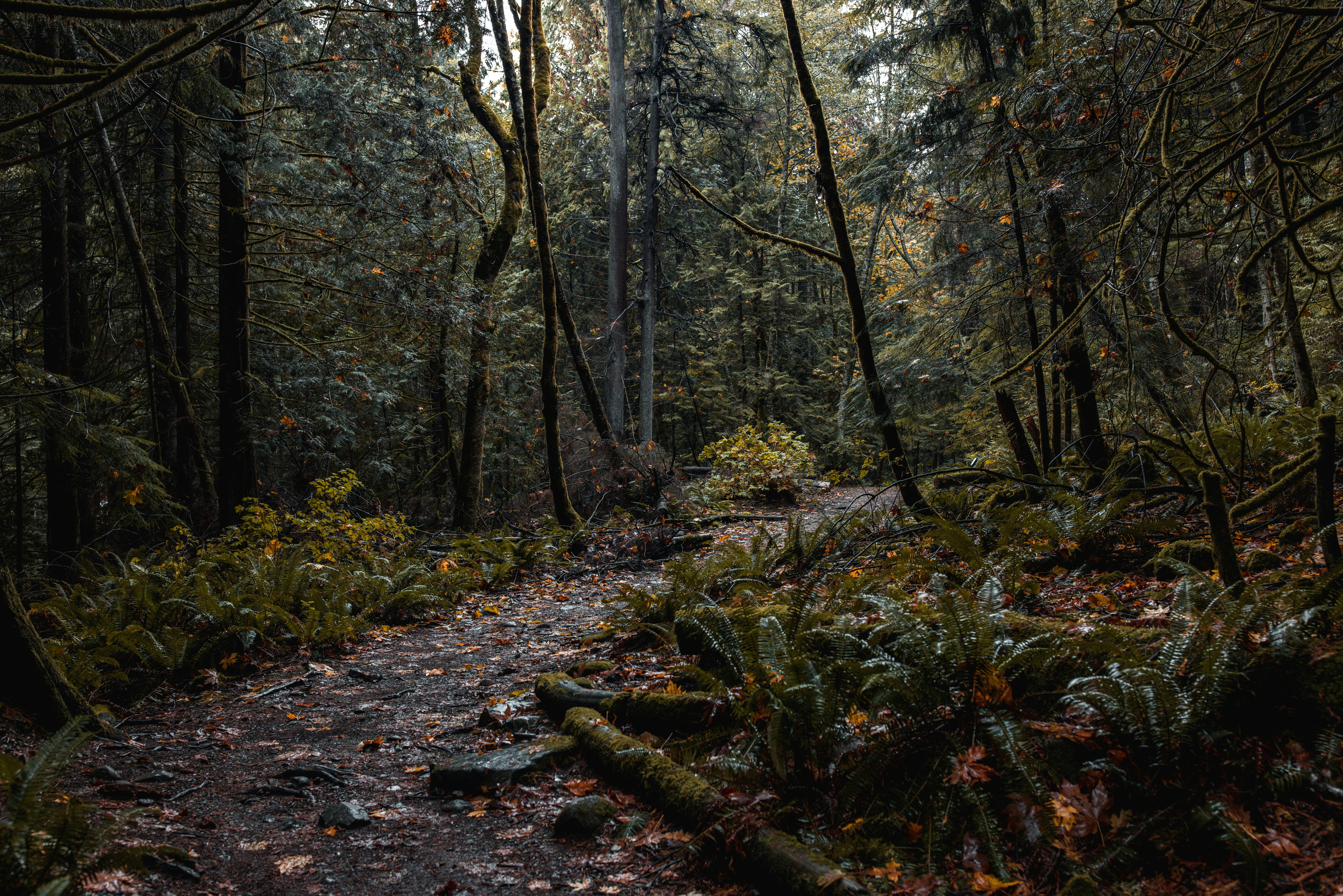 Photo by visualsbyroyalz