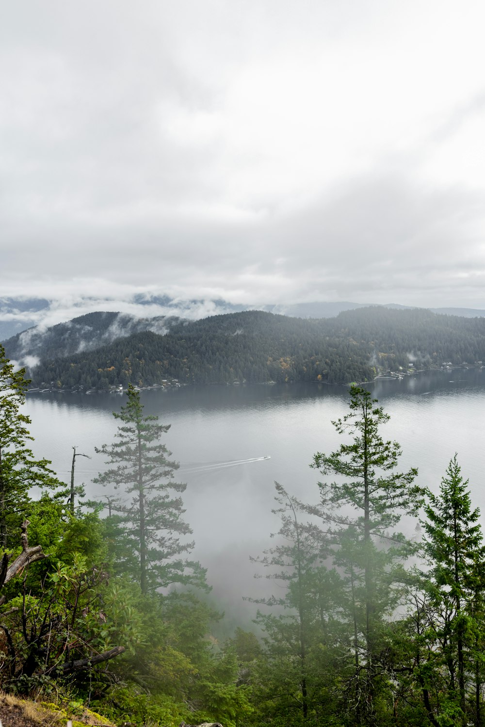 a scenic view of a lake surrounded by trees