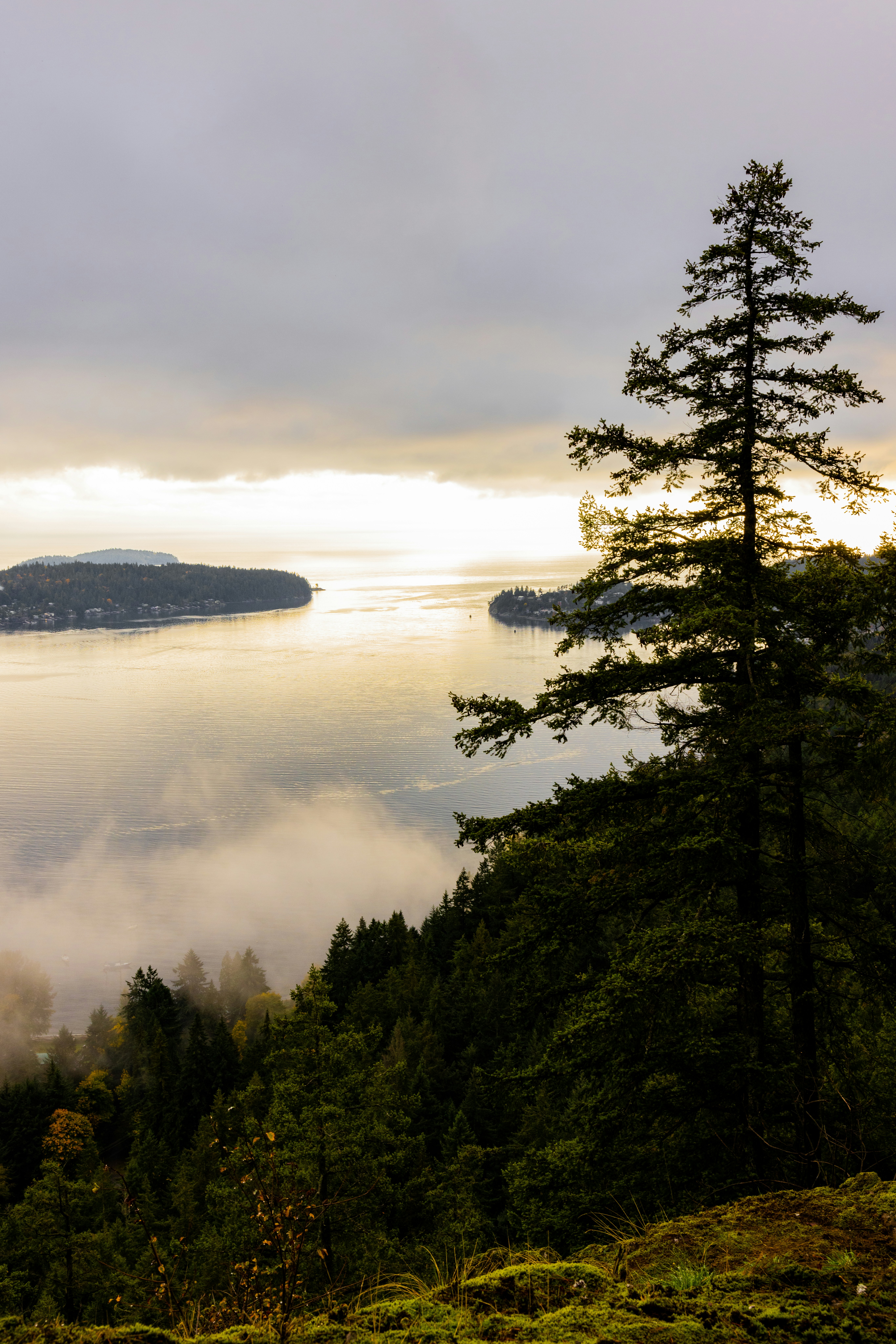 Photo by visualsbyroyalz