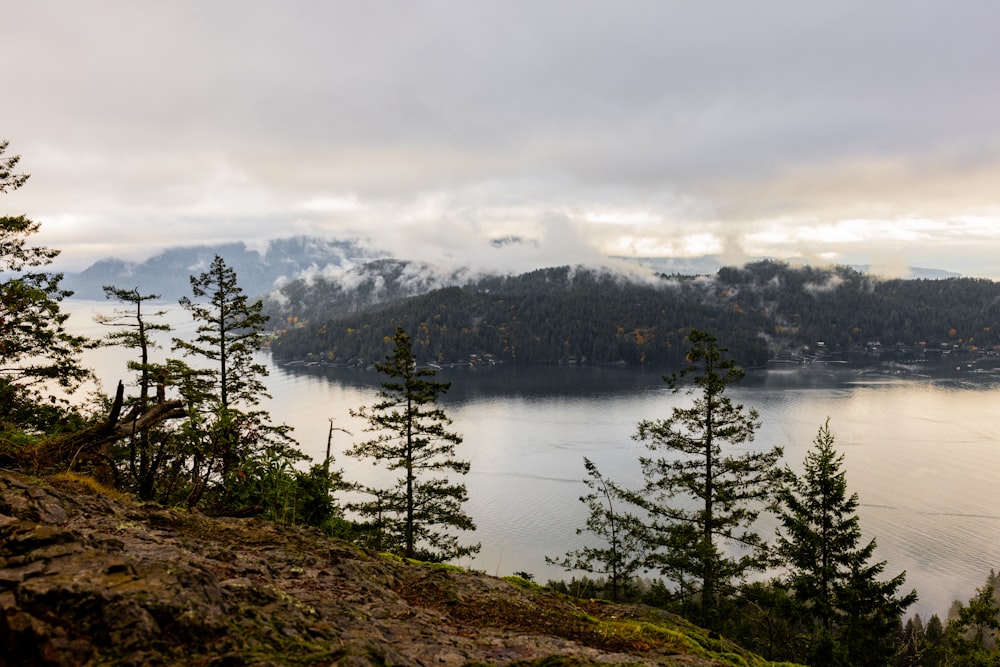 a view of a body of water surrounded by trees