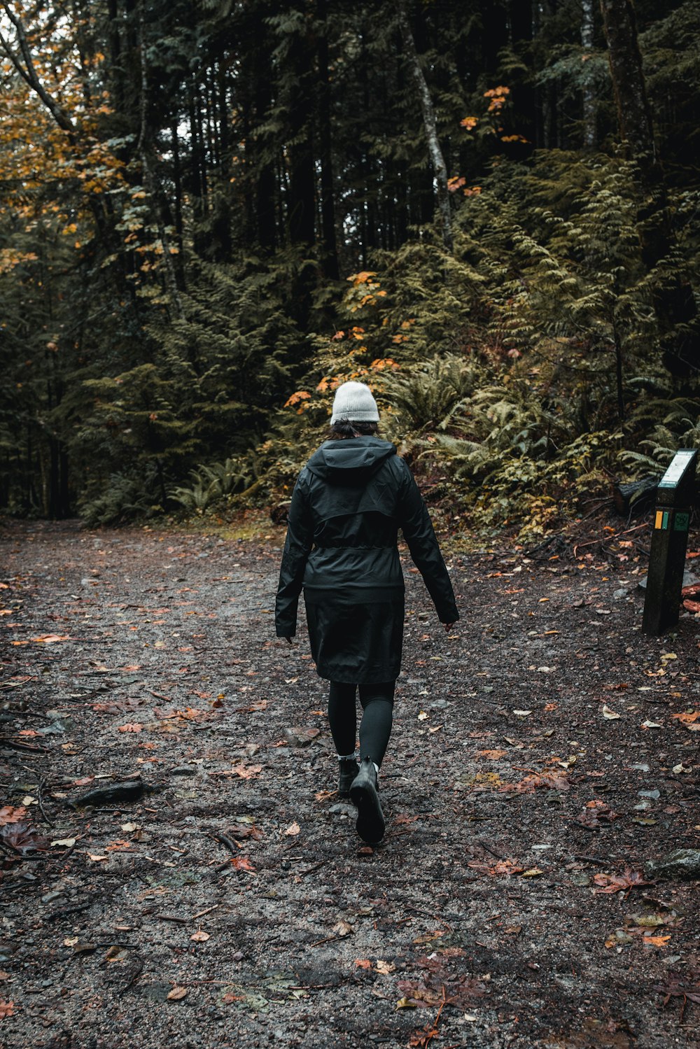 una persona che cammina lungo un sentiero nel bosco