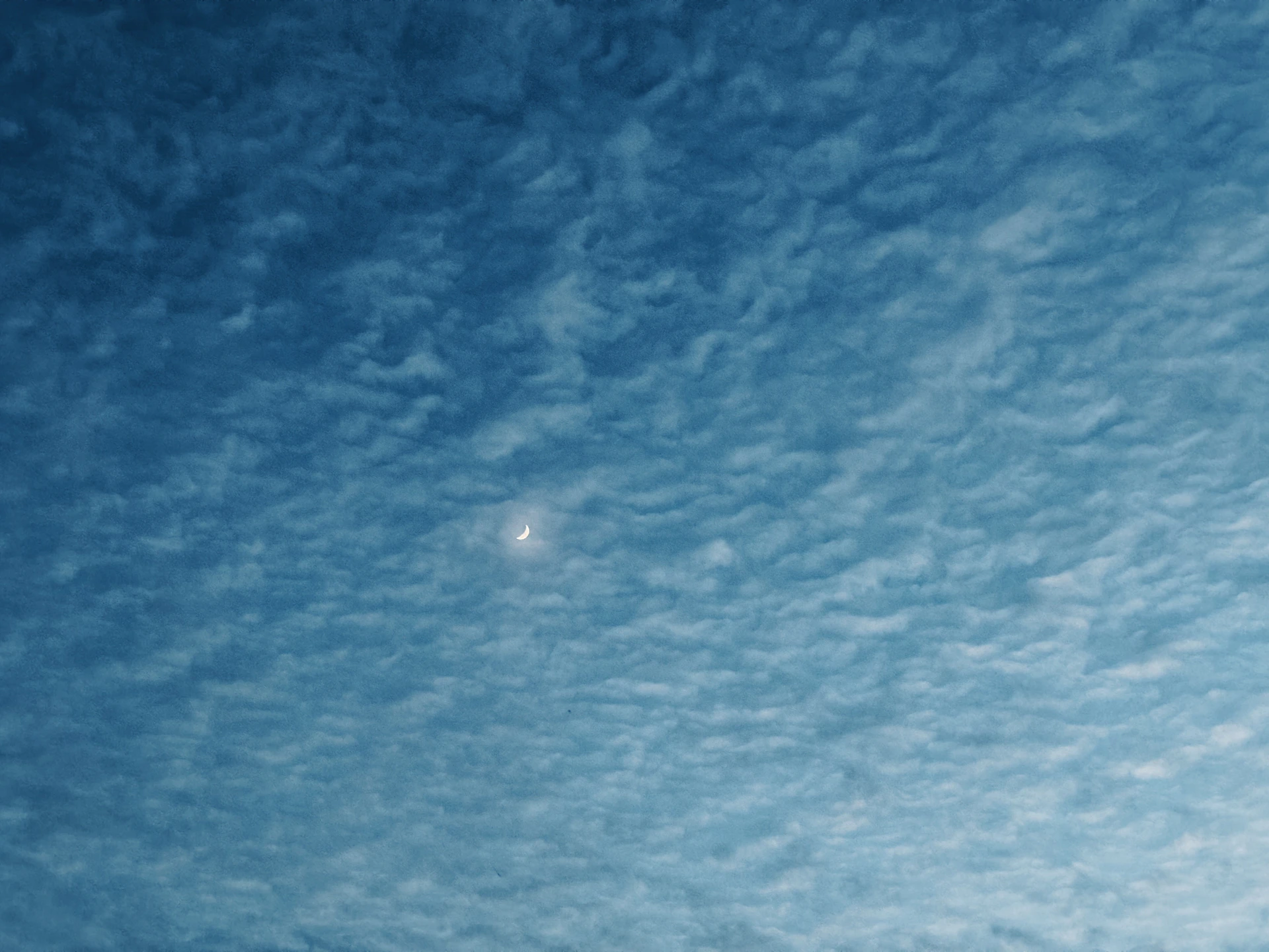 gray computer monitor