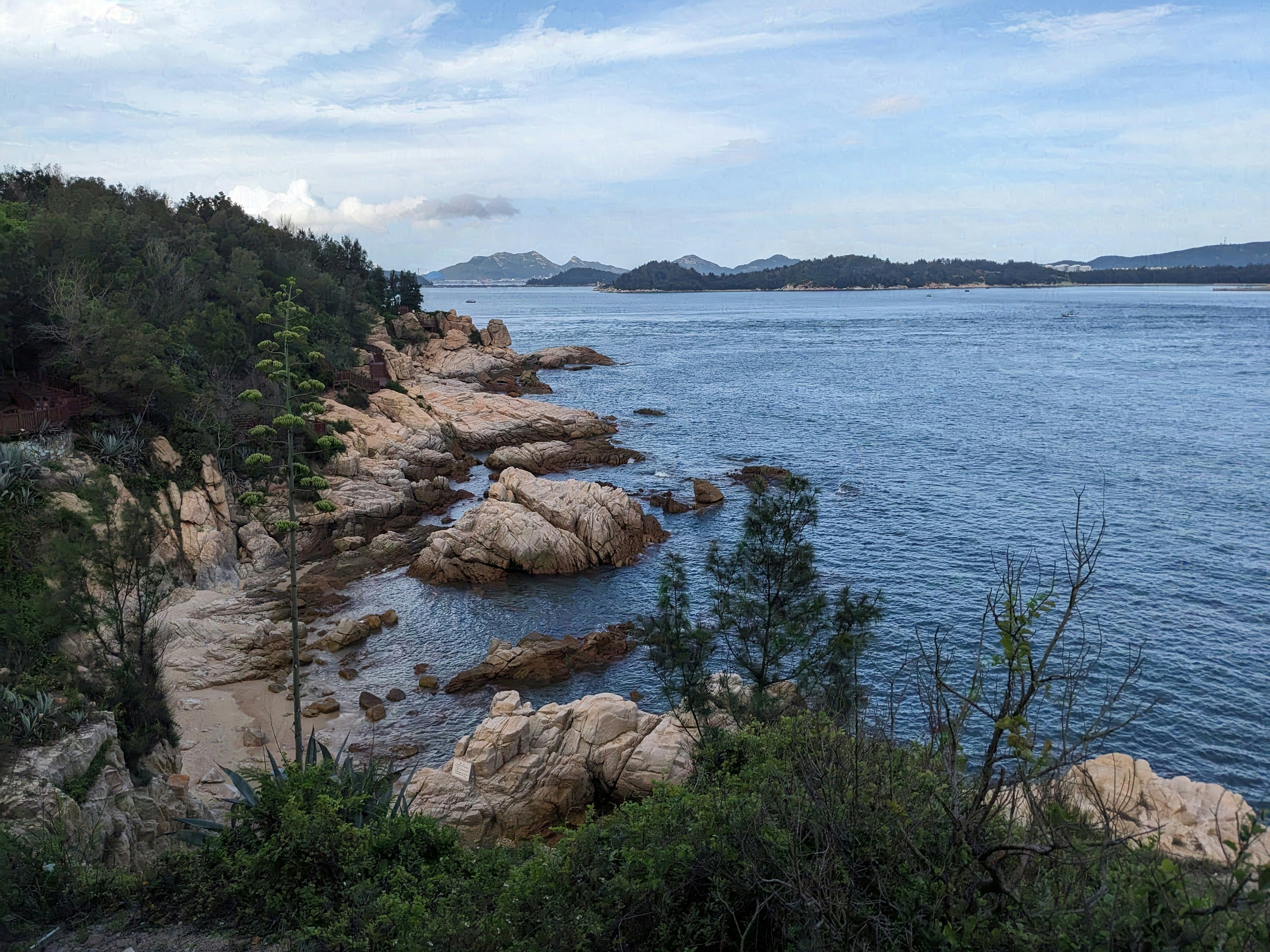 Beebe Cove Vista