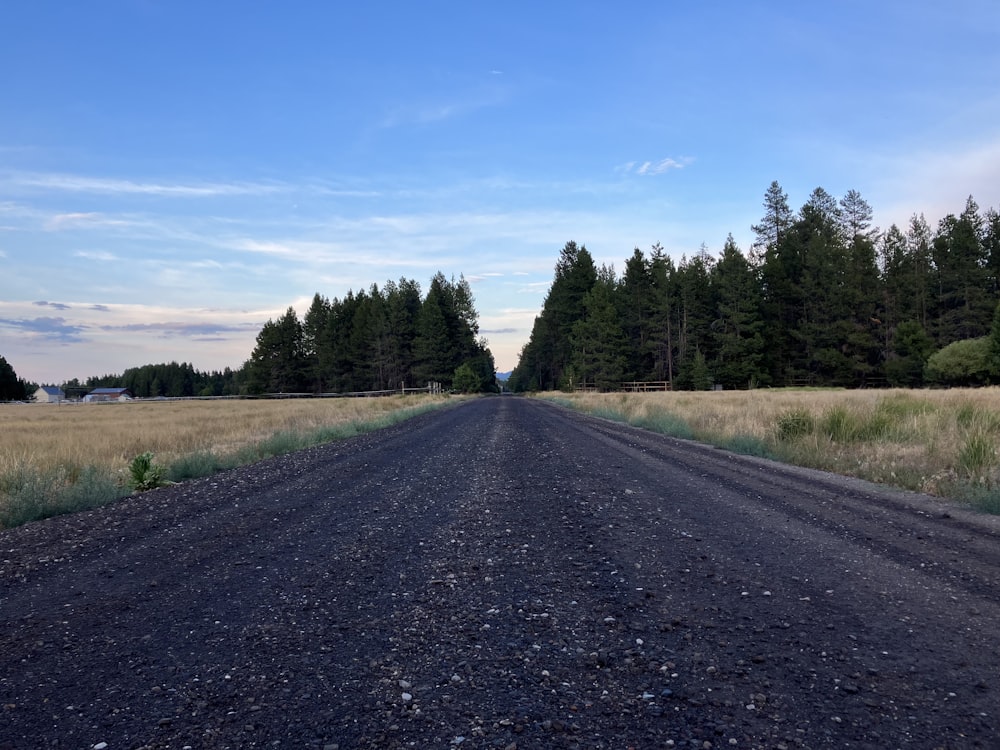 a dirt road in the middle of a field