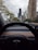 View from inside a car, specifically a Tesla, with the steering wheel prominently in the foreground. The windshield reveals a city landscape with tall skyscrapers and trees lining the street. The weather appears cloudy, and there are a few cars on the road.