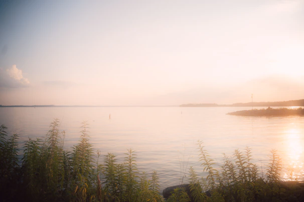 A serene lakeside at sunset with soft sage green reflections on the water.