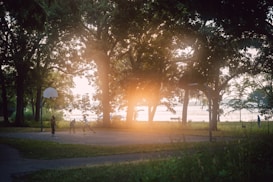 A serene outdoor basketball court surrounded by trees is bathed in the warm light of a sunset or sunrise. Two basketball hoops are visible, and a few people are playing basketball on the court. The scene is framed by lush foliage, with the distant view of a body of water and a pathway. The lighting creates a peaceful and idyllic atmosphere.