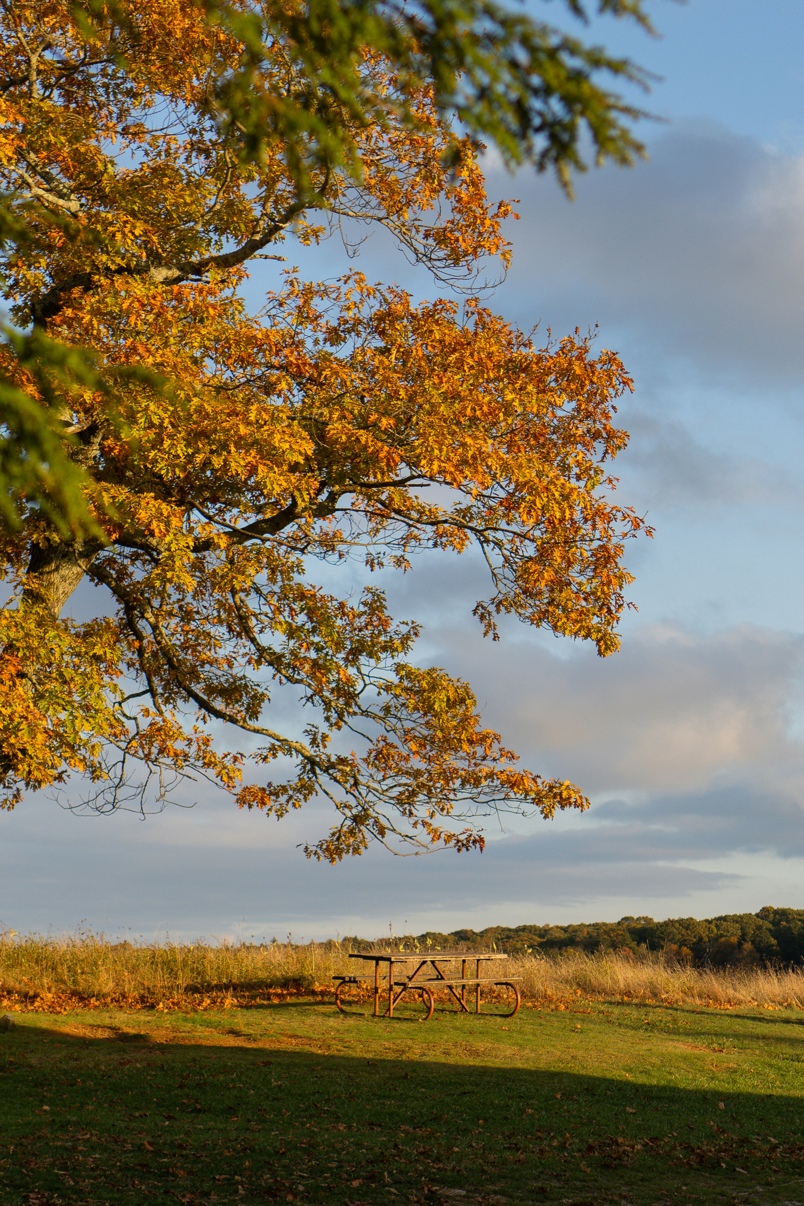 Photo by zhenyao_photo