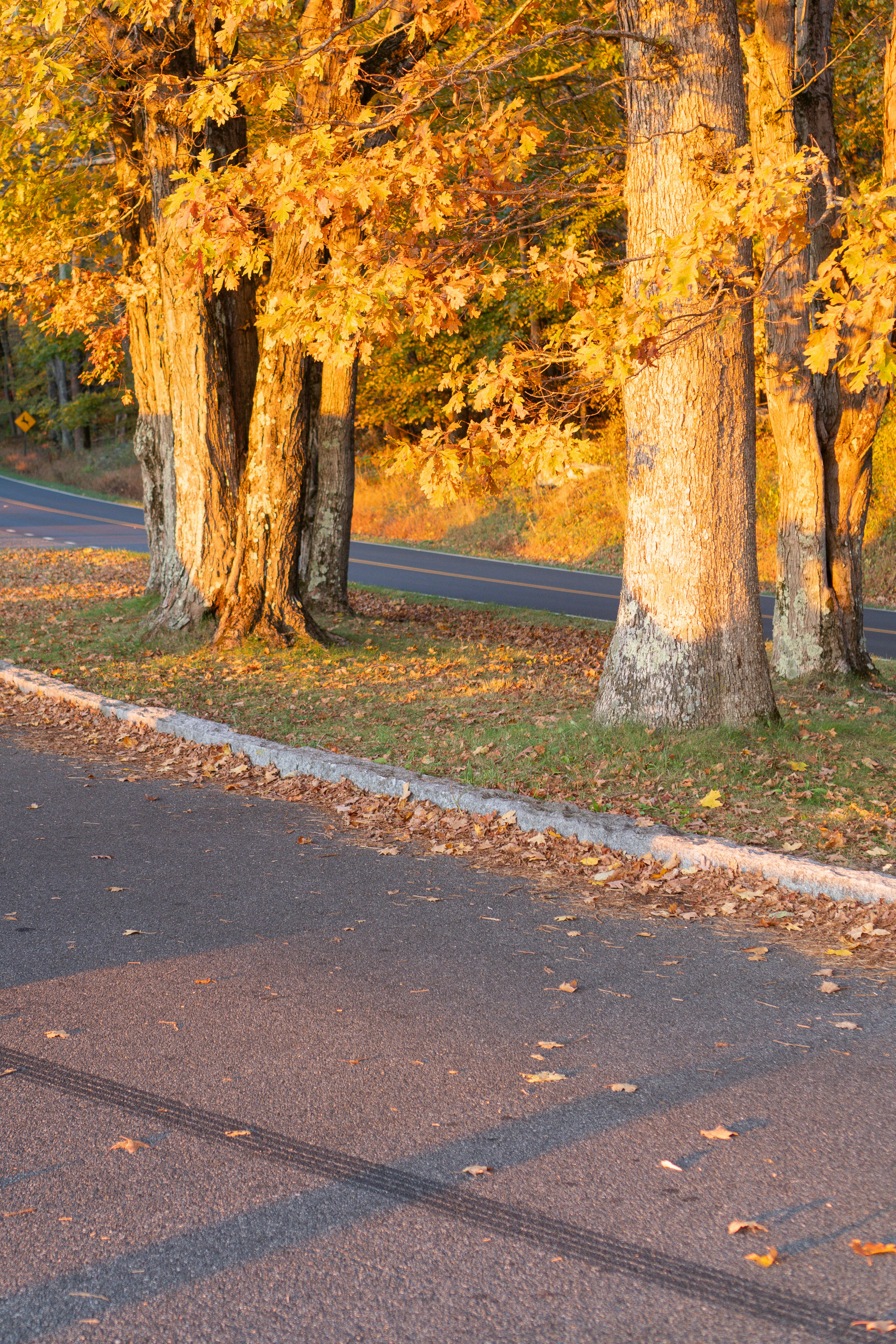 Photo by zhenyao_photo