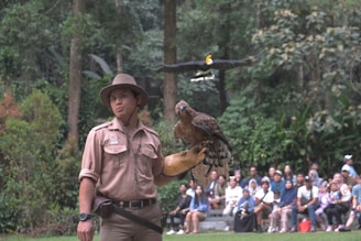 A person wearing a brown uniform and hat is holding a bird of prey on their gloved hand in an outdoor setting surrounded by lush greenery. Another bird is flying in the background. A group of people are sitting and watching the scene unfold.