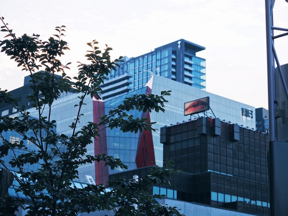 a tall building with a lot of windows next to a tree